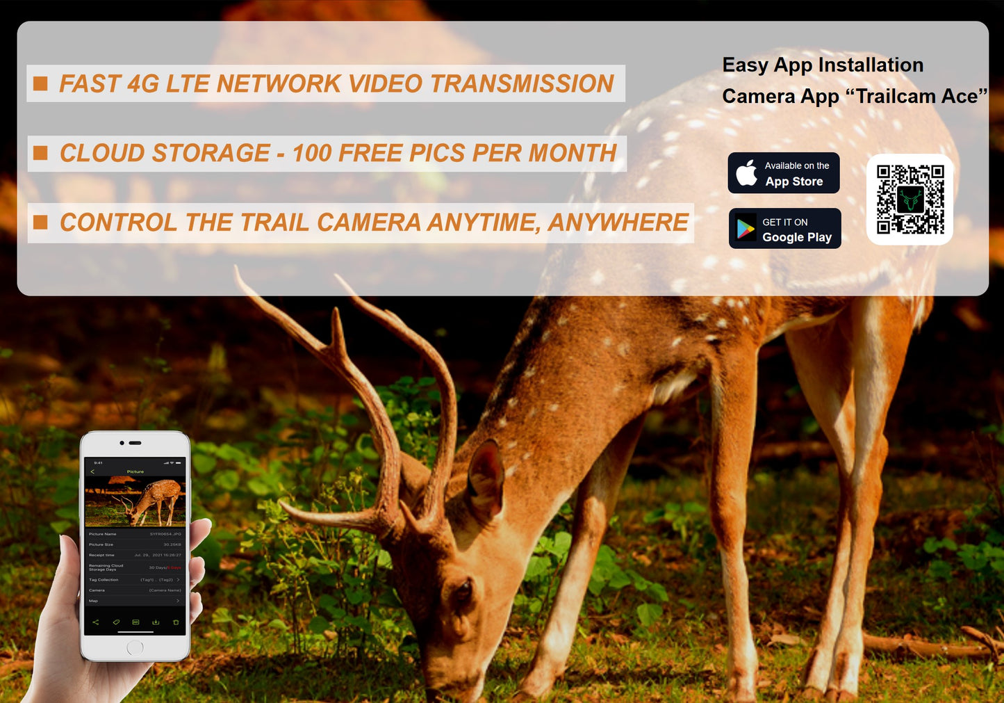 WILLFINE 4G LTE Solar-Powered Wildlife & Trail Camera (Live Stream & Motion Detection)