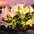GIGALUMI Solar Garden Lights Lily Garden Decor Carefree Solar Flowers-0