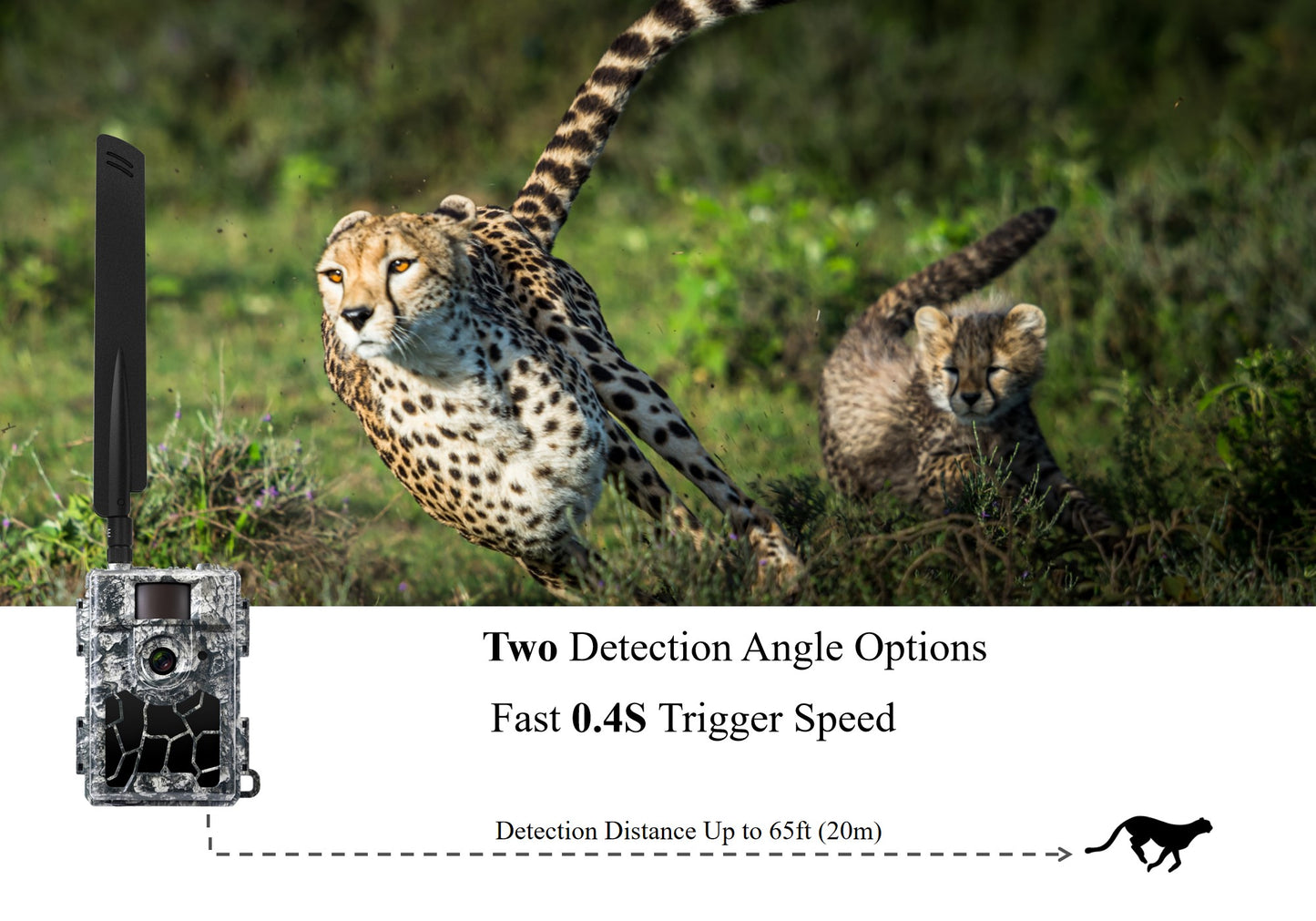 WILLFINE 4G LTE Solar-Powered Wildlife & Trail Camera (Live Stream & Motion Detection)
