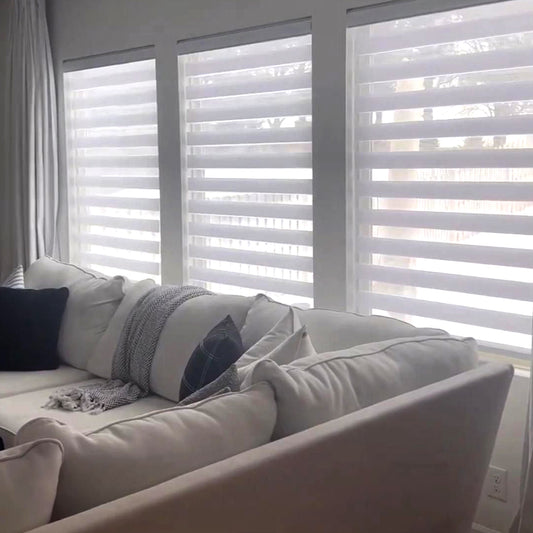 Smart Motorized Electric Blackout & Zebra Window Blinds (Custom Size)