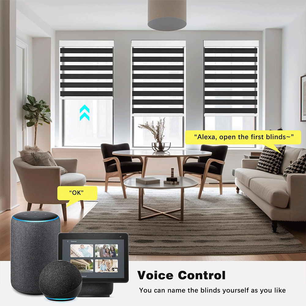 Smart Motorized Electric Blackout & Zebra Window Blinds (Custom Size)